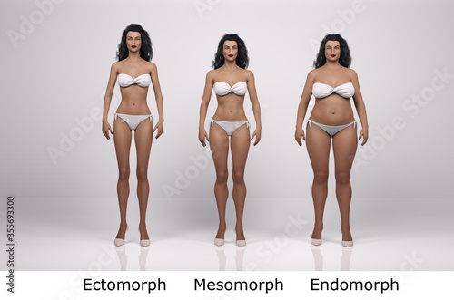 Fotografia 3D Render : standing female body type illustration : ectomorph (skinny type), me