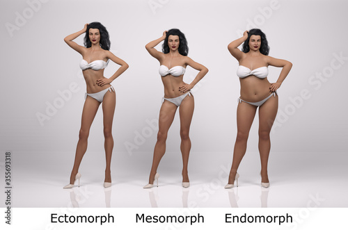 3D Render : Standing Female Body Type Illustration : Ectomorph Skinny Type,  Mesomorph Muscular Type, Endomorphheavy Weight Ty Stock Illustration -  Illustration of muscular, appearance: 235236612