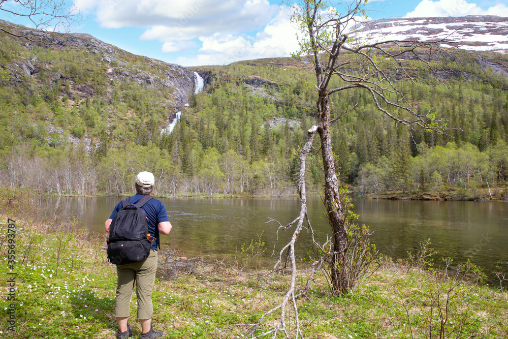 On a walk in Velfjord wilderness  with large waterfalls,Northern Norway