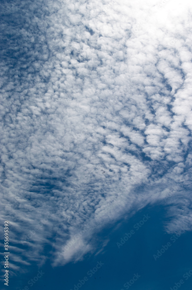Fototapeta premium Beautiful blue cloudy sky