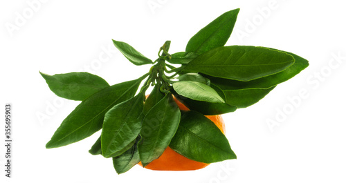 One fresh and juicy tangerine with green leaf isolated on a white background