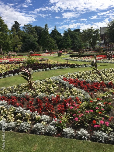 garden with flowers
