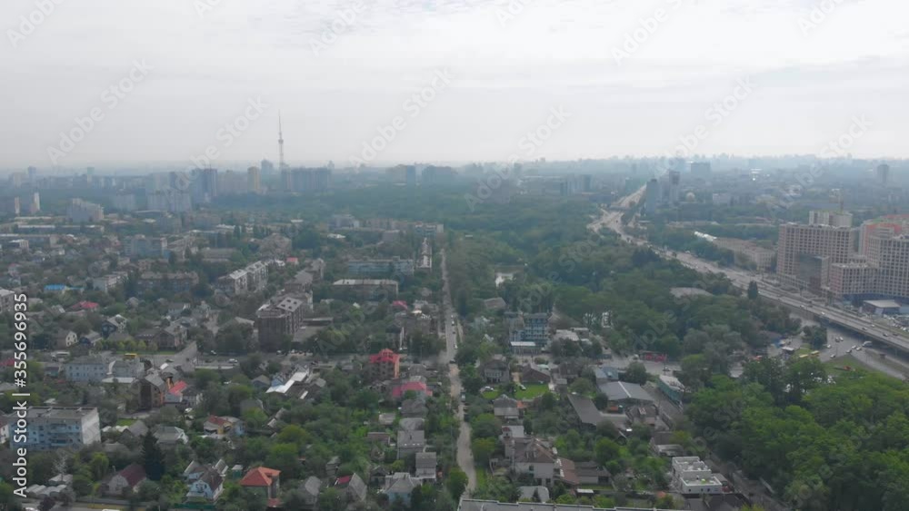 City in the haze and birds aerial swallows are circling around the drone City in the haze and birds aerial swallows are circling around the drone