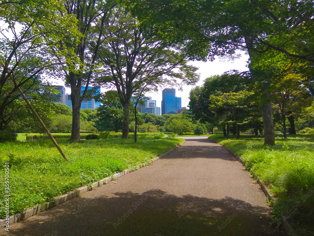 Path in a Japanese natural park in Tokyo