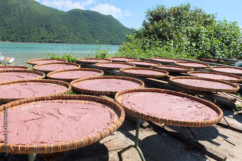 People drying homemade shrimp paste under the sun in Tai O, Hong Kong