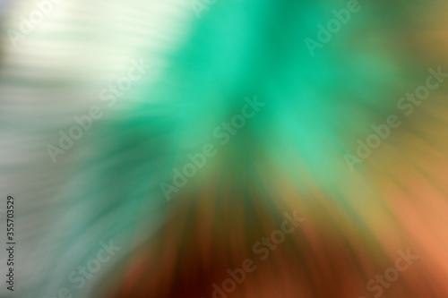 Blurred view, Blurred colorful for background or cover page.