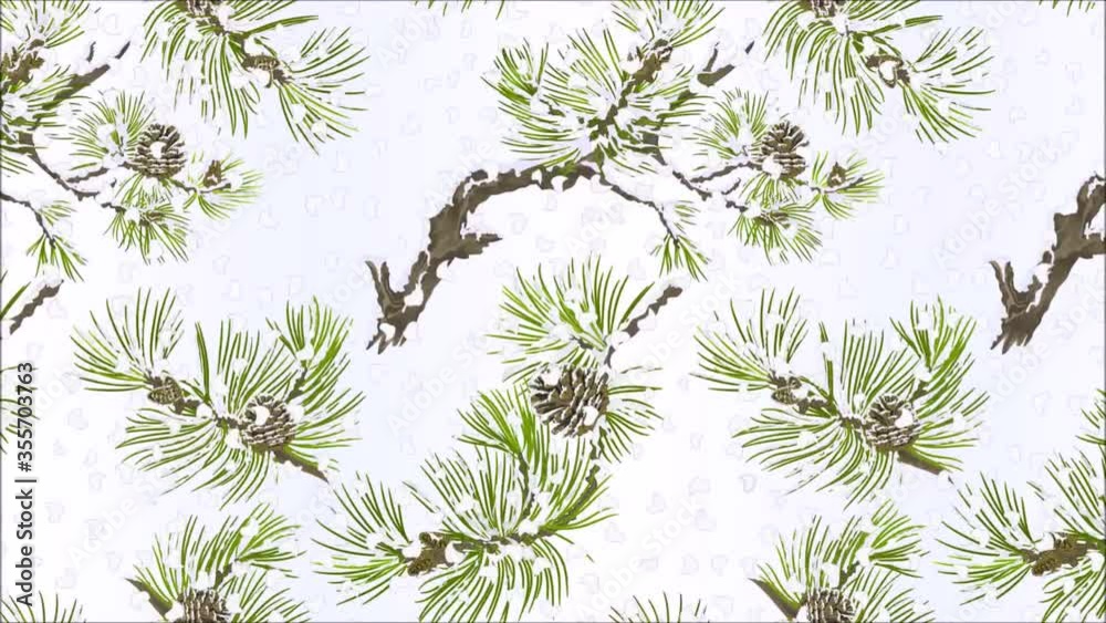 Video seamless loop animation of illustration pine various branches and cones needles and snow  vintage  botanical Christmas background hand draw motion
 