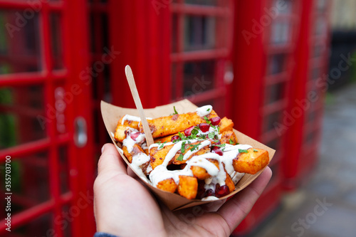 Street Food, fresh and delicious deep fried halloumi sticks