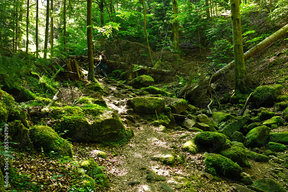 Fototapeta premium Wolfsschlucht bei Calw-Ernstmühl im Schwarzwald