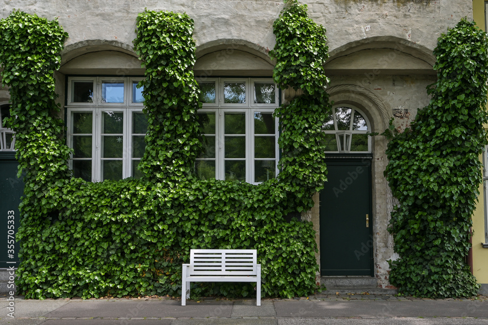 Facade overgrown with ivy on an historic old town house with muntin windows and a white bench in the centre of the hanseatic city Luebeck, Germany