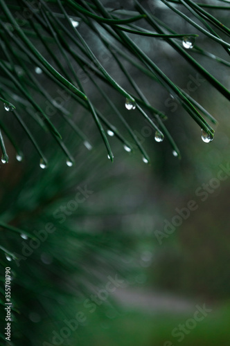 rain drops on a glass