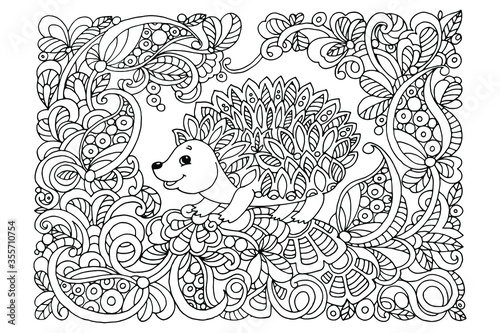 coloring book, hedgehog, antistress, for adults, for children, hand drawing, doodle, sketch, vector illustration