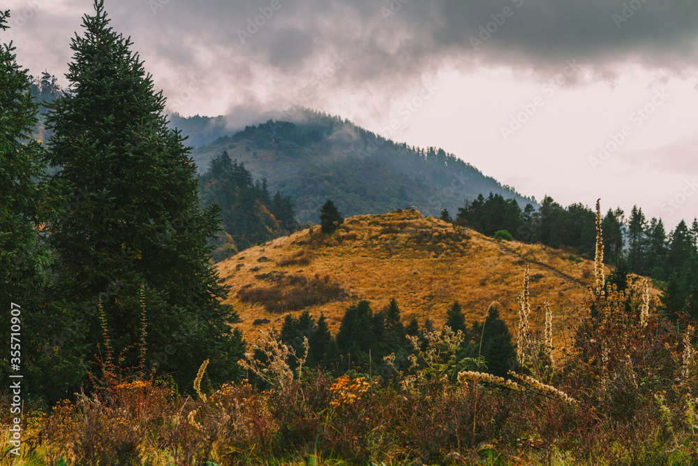 Obraz premium Poon Hill viewpoint at noon
