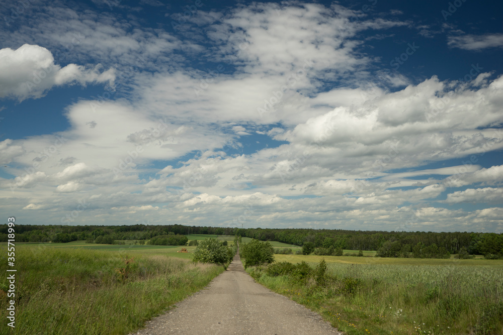 road in the field