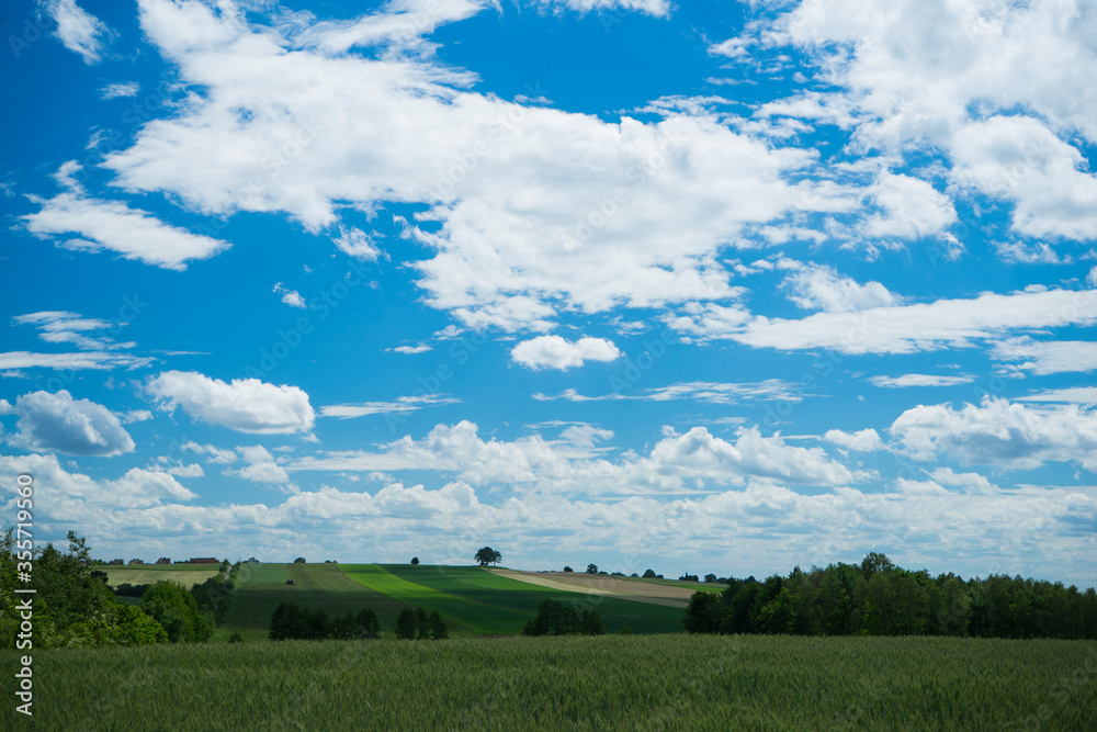 landscape with blue sky