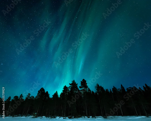 aurora borealis in the lapland forest photo