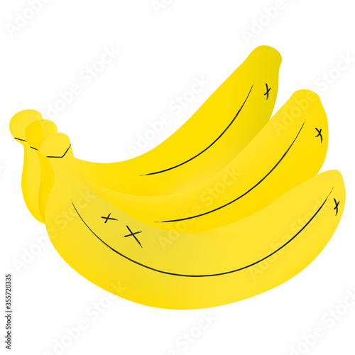 Bananas isolated on white background.  Bunch of bananas vector illustration 