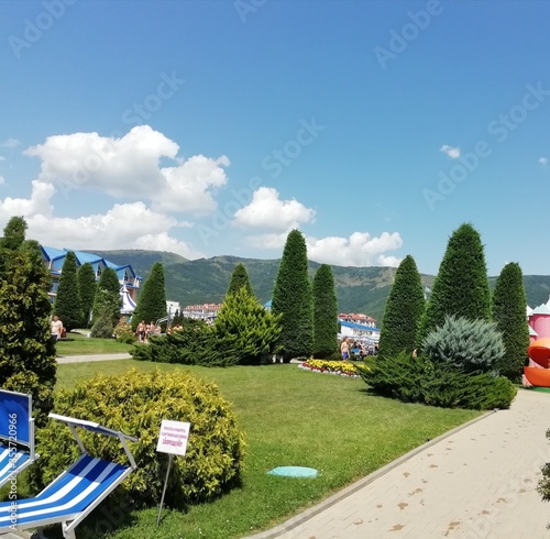 garden in the park