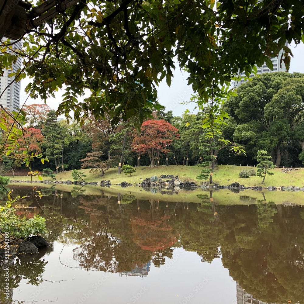 Fototapeta premium Lake