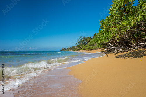 Beautiful and inviting tropical beach coastline with golden sand & green trees on a sunny summer day.
Concept for travel, escape.