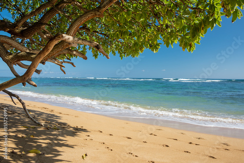 Beautiful and inviting tropical beach coastline with golden sand & green trees on a sunny summer day.
Concept for travel, escape.