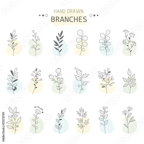 Rustic decorative branches and flowers collection. Hand drawn vintage vector design elements. Doodling. Vector illustration.