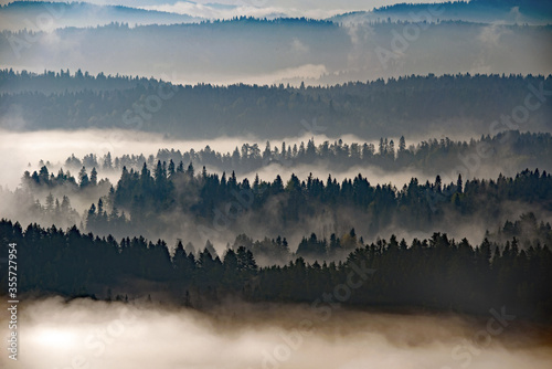 Fototapeta Naklejka Na Ścianę i Meble -  Poranne mgły