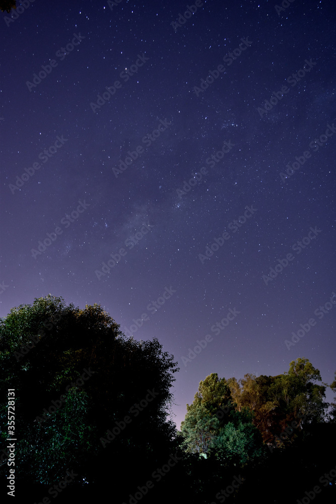 Milky Way's center above the trees