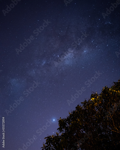 Milky Way's center, Jupiter and Saturn above the tree © Sofia