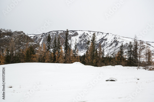 View of Ulagan Highlands photo