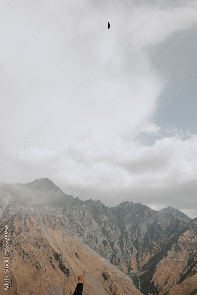 eagle in clouds of Caucasus mountains