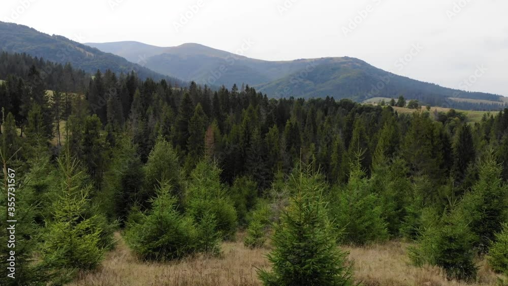 Aerial view of beautiful landscape with forest and mountains. View from drone on green spruce with mountains in background. Aerial view of beautiful landscape with forest and mountains. View from drone on green spruce with mountains in background.