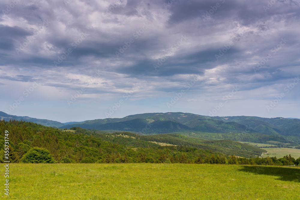 Beautiful green meadow in the Carpathian mountains, pine forest in the background with dramatic sky.
