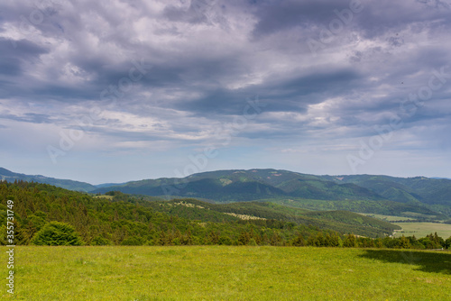 Beautiful green meadow in the Carpathian mountains, pine forest in the background with dramatic sky.
