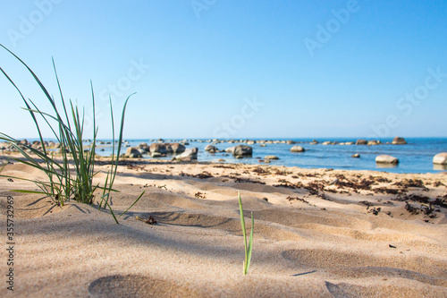 stones on the coast of estonia photo