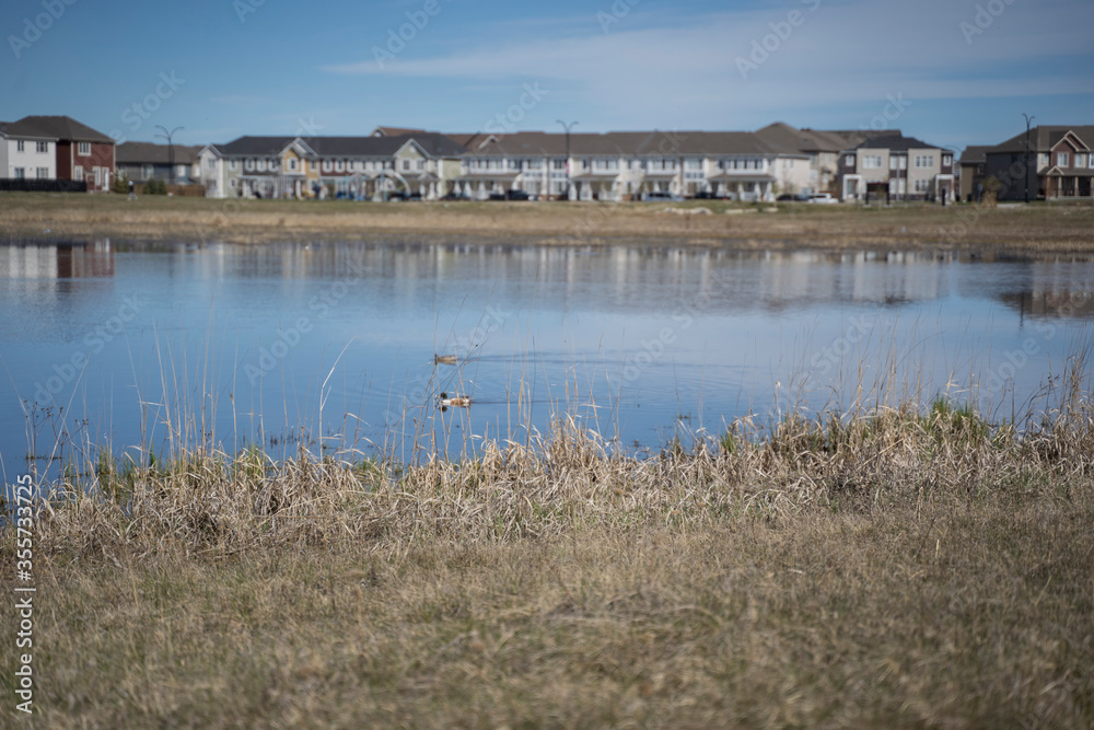 Calgary, Alberta, Canada, June 01 2020:  An subdivision developed up to designated habitat at the City Scape Wetlands.