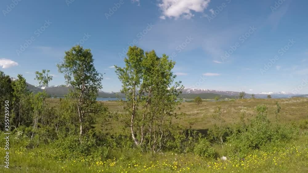 driving through pasture landscape with fjord and snowy mountain backdrop driving through pasture landscape with fjord and snowy mountain backdrop