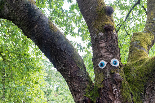 yarn bombing on a tree in forest hand crochet eyes 