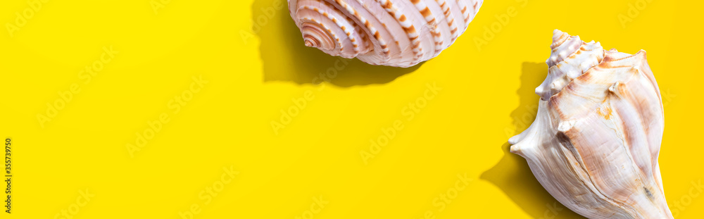 Summer concept with seashells overhead view - flat lay Summer concept with seashells overhead view - flat lay