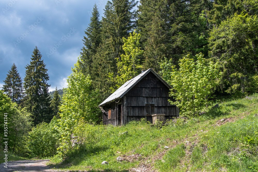 Wooden abandoned hut cabin and well in the forest of the northern Velebit Mountain in Croatia Wooden abandoned hut cabin and well in the forest of the northern Velebit Mountain in Croatia