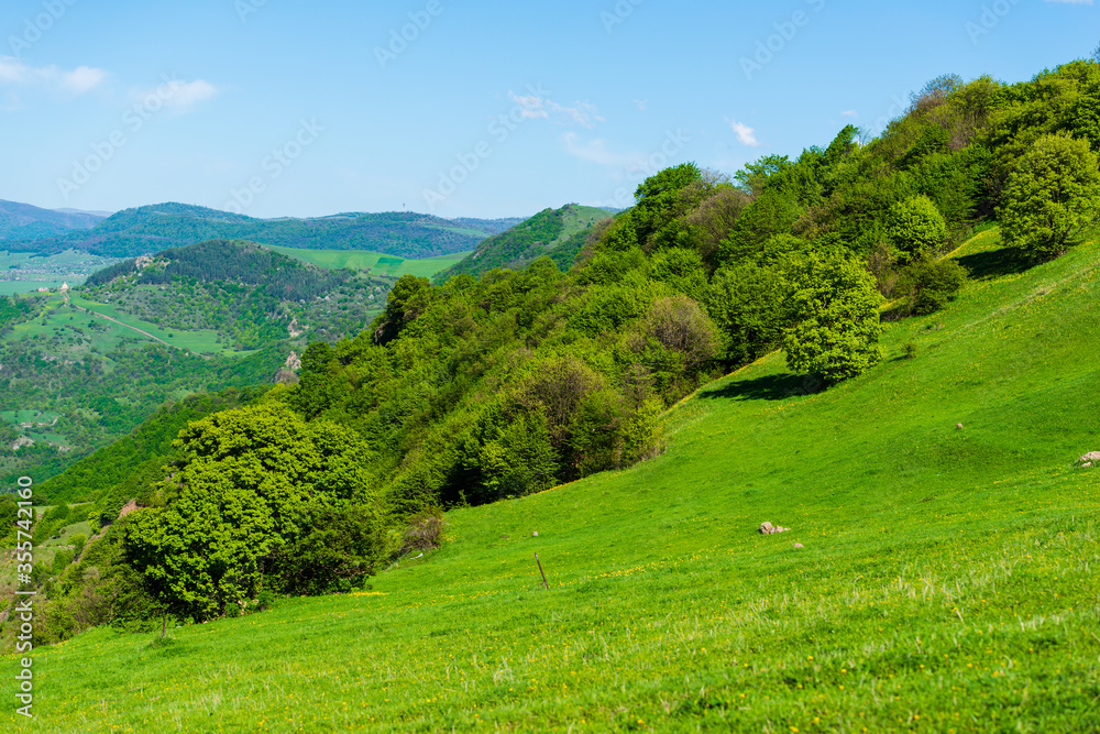 Beautiful rural landscape with trees, Armenia