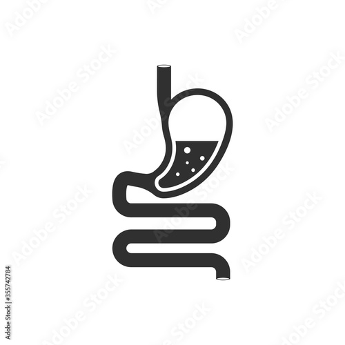 Human stomach and gastrointestinal system. Vector photo