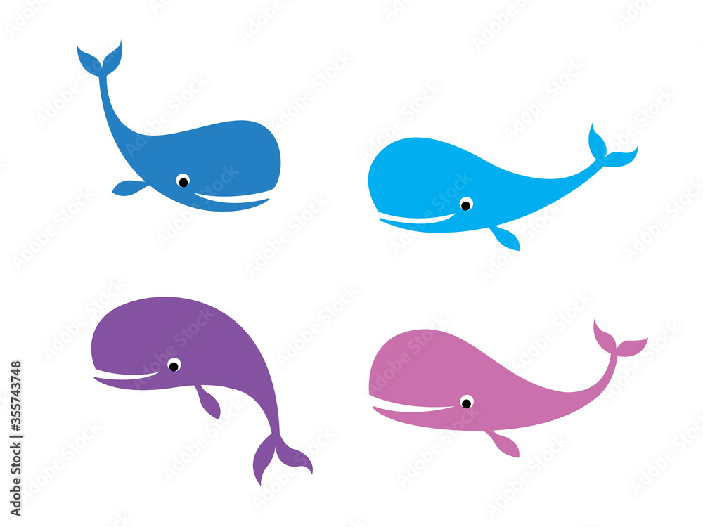 Obraz premium beautiful whale vector collection