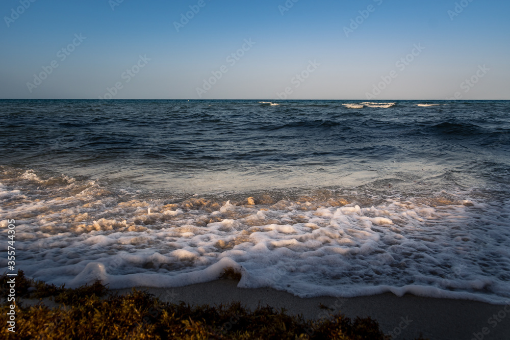 Waves hitting fine sand shore. Beach covered with dead algae. Low angle, wide shot