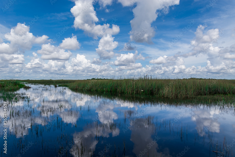 Reflection of clouds in calm water. Wetlands and sawgrass in Florida, Everglades National Park. Airboat tourist attraction.  Wide shot