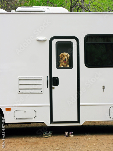 RV Traveler - A dog looking out the door window in a RV. Looks realistic but actually is an image attached to door.