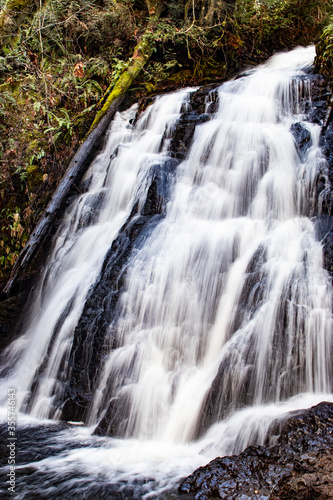Fototapeta Naklejka Na Ścianę i Meble -  Waterfall in Pacific Northwest, Washington state