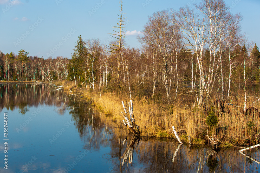 Fototapeta premium Hundsee im Pfrungener Ried