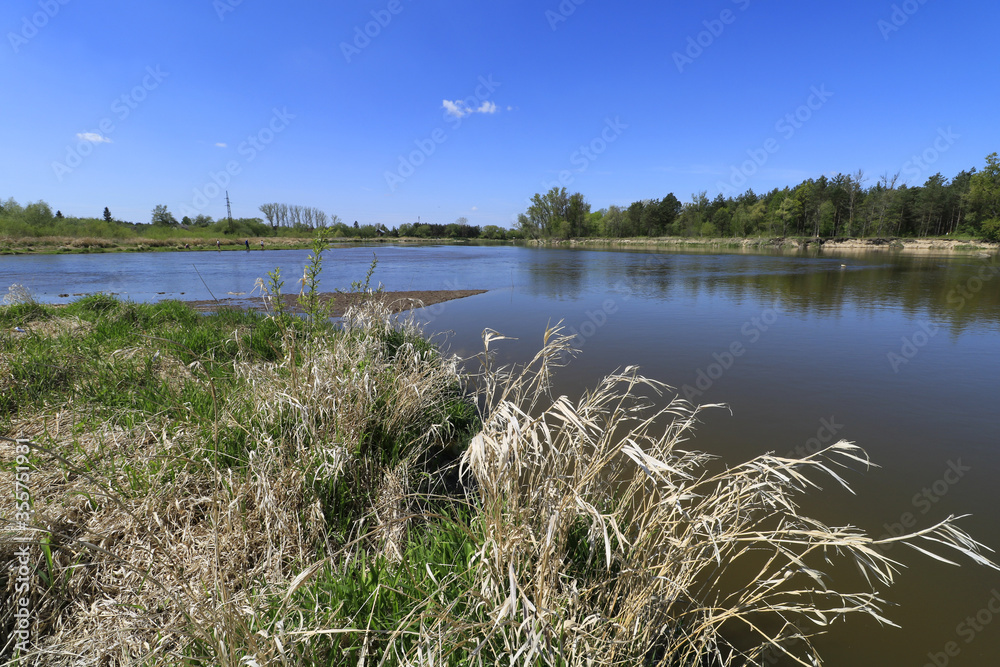 Liwiec river flows into Bug river, Mazovia, Poland