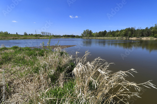 Obraz na płótnie Liwiec river flows into Bug river, Mazovia, Poland w salonie
